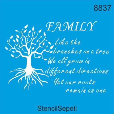 Aile - 1