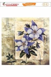 My Hobby KKT-005 - 17x25cm - MyHobby