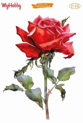 My Hobby KKT-039 - 17x25cm - MyHobby