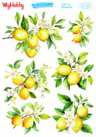 My Hobby Koyu Zemin - 005 25x35cm - MyHobby