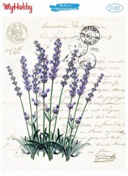 My Hobby ST-031 - 24x33cm - MyHobby