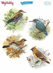 My Hobby ST-175- 25x35cm - MyHobby