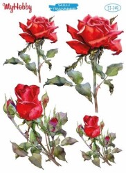 My Hobby ST-249- 25x35cm - MyHobby