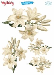 My Hobby ST-257- 25x35cm - MyHobby