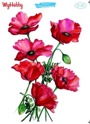 My Hobby ST-315 - 25x35cm - MyHobby