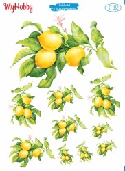 My Hobby ST-354 - 25x35cm - MyHobby