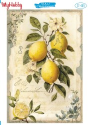 My Hobby ST-409 - 25x35cm - MyHobby