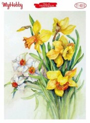 My Hobby TT-015 - 25x35cm - MyHobby