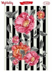 My Hobby TT-030-25x35cm - MyHobby