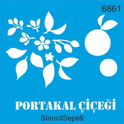 Portakal Çiçeği - 1